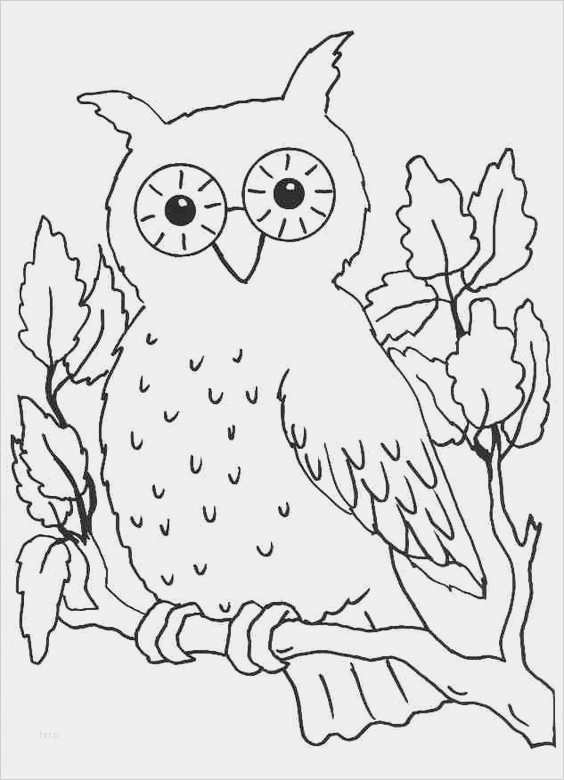 Vorlagen Window Color Schönste Window Color Vorlagen Tiere