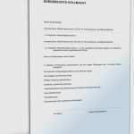 Vorsorgevollmacht Für Gesundheitsangelegenheiten Vorlage Einzigartig Vorsorgevollmacht Vorlage Word Cool Vollmacht Zur Ausübung