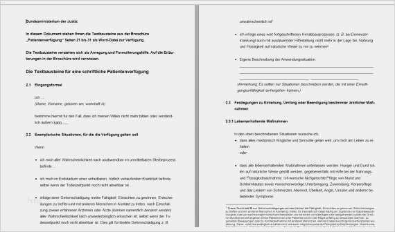 Vorsorgevollmacht Vorlage Kostenlos Word Schön Vorsorgevollmacht Vordruck Giga