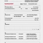 Wahlprotokoll Verein Vorlage Luxus Ergebnisprotokoll