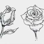 Wand Graffiti Vorlagen Großartig 99 Liebes Bilder Zum Nachmalen Ideen