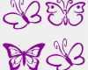 Wand Muster Vorlagen Erstaunlich Schmetterlinge 4er Set Fenstersticker Wand Sticker