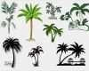 Wandbild Baum Vorlage Cool Wandtattoo Palme