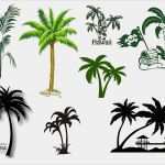 Wandbild Baum Vorlage Cool Wandtattoo Palme