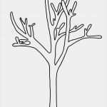 Wandbild Baum Vorlage Wunderbar Malvorlagen Und Briefpapier Gratis Zum Drucken Basteln