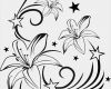 Wandtattoo Eigene Vorlage Luxus Lilienranke Mit Sternen Wandtattoo Wandsticker Und