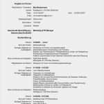 Webseite Vorlagen Cool Cv Europass Vorlage