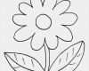 Website Vorlagen Kostenlos Elegant Neu Malvorlagen Blumen Kostenlos