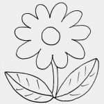 Website Vorlagen Kostenlos Elegant Neu Malvorlagen Blumen Kostenlos
