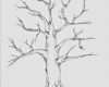 Wedding Tree Vorlage Schön Hochzeitsbaum Wedding Tree