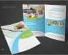 Wellness Flyer Vorlagen Fabelhaft 8 Modern Medical and Healthy Brochure Templates Free Adobe