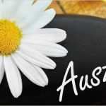 Wellness Wochenende Gutschein Vorlage Gut Genug Wellness Wochenende Gutschein Vorlage &go72