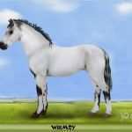 Wer Malt Bilder Nach Vorlage Genial Wer Malt Das Schönstes Pferd Nach Foto