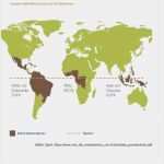 Wer Wird Millionär Powerpoint Vorlage Mit ton Erstaunlich Unterrichtsmaterialien Für Schulaktion Pdf