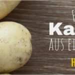 Werbebanner Vorlagen Erstaunlich Kartoffelbanner Werbebanner Für Kartoffelwerbung Inkl