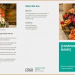 Werbeflyer Vorlage Luxus 13 Free Brochure Templates for Microsoft Word