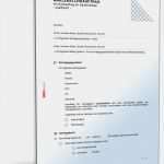 Werbetexte Kostenlos Vorlagen Fabelhaft Makleralleinauftrag Qualifiziert Mit Suchauftrag Für