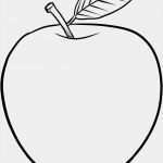 White Paper Vorlage Genial Apfel Vorlage Ausdrucken Bild – Ausmalbilder Ideen