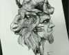 Widder Tattoo Vorlagen Angenehm Pin by Ola Gug On O