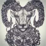 Widder Tattoo Vorlagen Bewundernswert Pin Von Fanny Rockstroh Auf Widder Tattoo