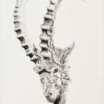 Widder Tattoo Vorlagen Neu Pin Von andy Fusseder Auf Tattoo Pinterest