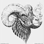 Widder Tattoo Vorlagen Wunderbar Die Besten 25 Widder Tattoo Ideen Auf Pinterest