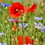 Widerspruch Dynamik Lebensversicherung Vorlage Erstaunlich Lebensversicherung Dynamik Kosten