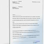 Widerspruch Dynamik Lebensversicherung Vorlage Großartig Bitte Um Finanzielle Unterstützung • De Musterbrief Download