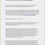 Wie Erstellt Man Einen Businessplan Vorlage Angenehm 17 Wie Schreibt Man Einen Lebenslauf Vorlage