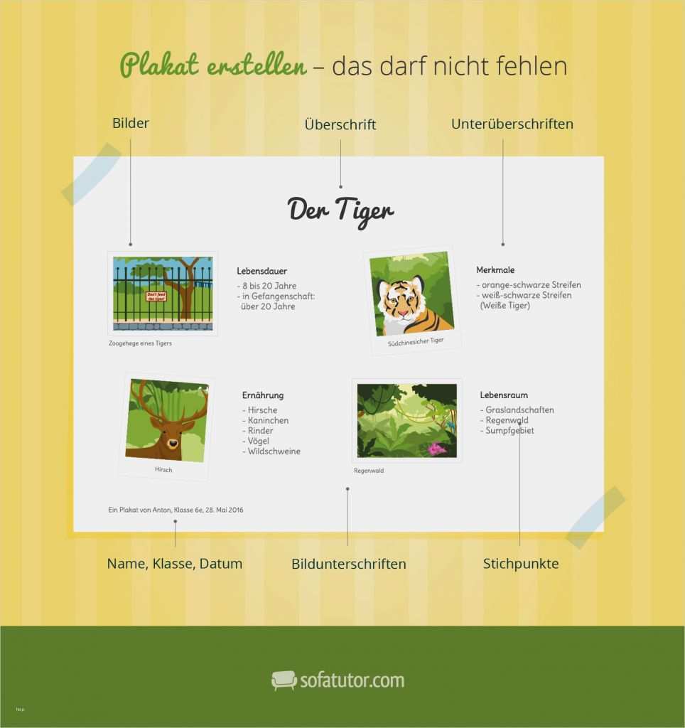Wie Erstellt Man Einen Businessplan Vorlage Schönste Wie Gestaltet Man Ein Plakat Für Schule