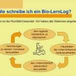 Wie Schreibe Ich Ein Angebot Vorlage Cool Wie Schreibt Man Ein Bio Lernlog Ppt Herunterladen