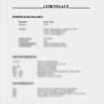 Wie Schreibe Ich Einen Lebenslauf Richtig Vorlage Bewundernswert Vorschaubilder Vorlage Lebenslauf Wie Schreibe Ich Einen