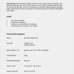 Wie Schreibe Ich Einen Lebenslauf Richtig Vorlage Neu Bewerbung Und Lebenslauf Richtig Schreiben Lebenslauf