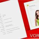 Wie Schreibe Ich Einen Lebenslauf Richtig Vorlage Schönste Word Bewerbung Musterbewerbung Verkäuferin Bewerbung Vorlage