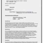 Wie Schreibe Ich Einen Unfallbericht Vorlage Hübsch 17 Wie Schreibe Ich Ein Protokoll Vorlage