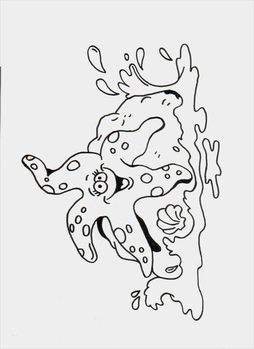 Window Color Vorlagen Badezimmer Bewundernswert Geraumiges Badezimmer Window Color Vorlagen Richardkelsey