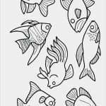 Window Color Vorlagen Badezimmer Cool Window Color Vorlagen Badezimmer