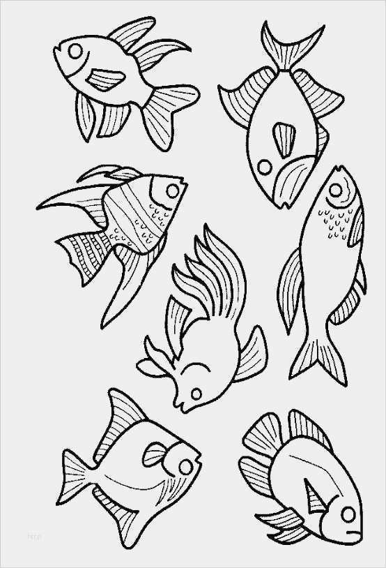 Window Color Vorlagen Badezimmer Cool Window Color Vorlagen Badezimmer