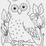 Window Color Vorlagen Badezimmer Neu Malvorlagen Eulen Window Color 1121 Malvorlage Eule