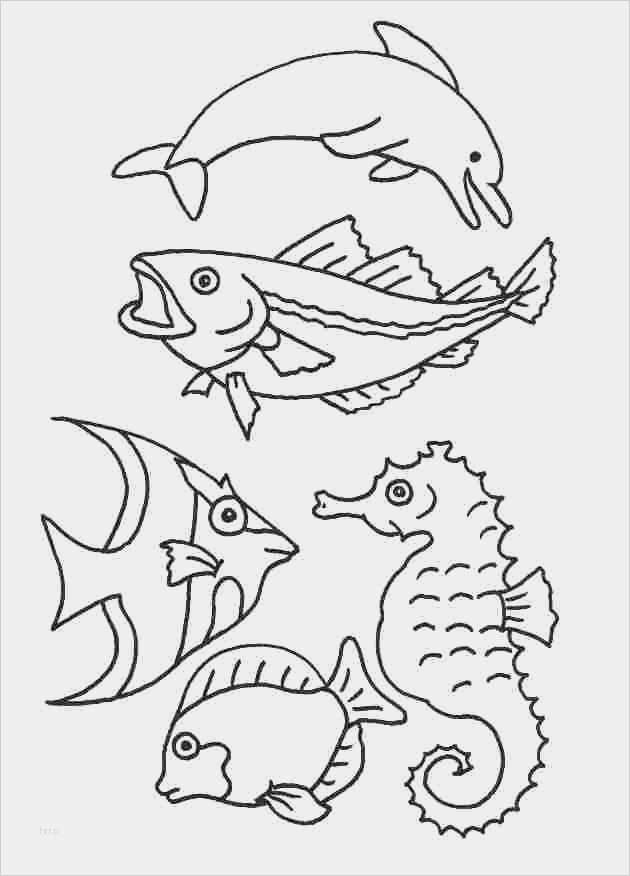 Window Color Vorlagen Badezimmer Wunderbar Window Color Vorlagen Az Colorare