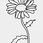 Window Color Vorlagen Blumen Gut Download Kostenlose Bilder Zum Ausdrucken2015 Full Hd Hinter