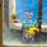 Window Color Vorlagen Blumen Neu 1024