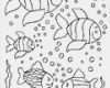 Window Color Vorlagen Buch Cool Fische