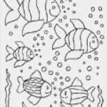 Window Color Vorlagen Buch Cool Fische