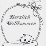 Window Color Vorlagen Buch Schönste sonstige Vorlagen 3