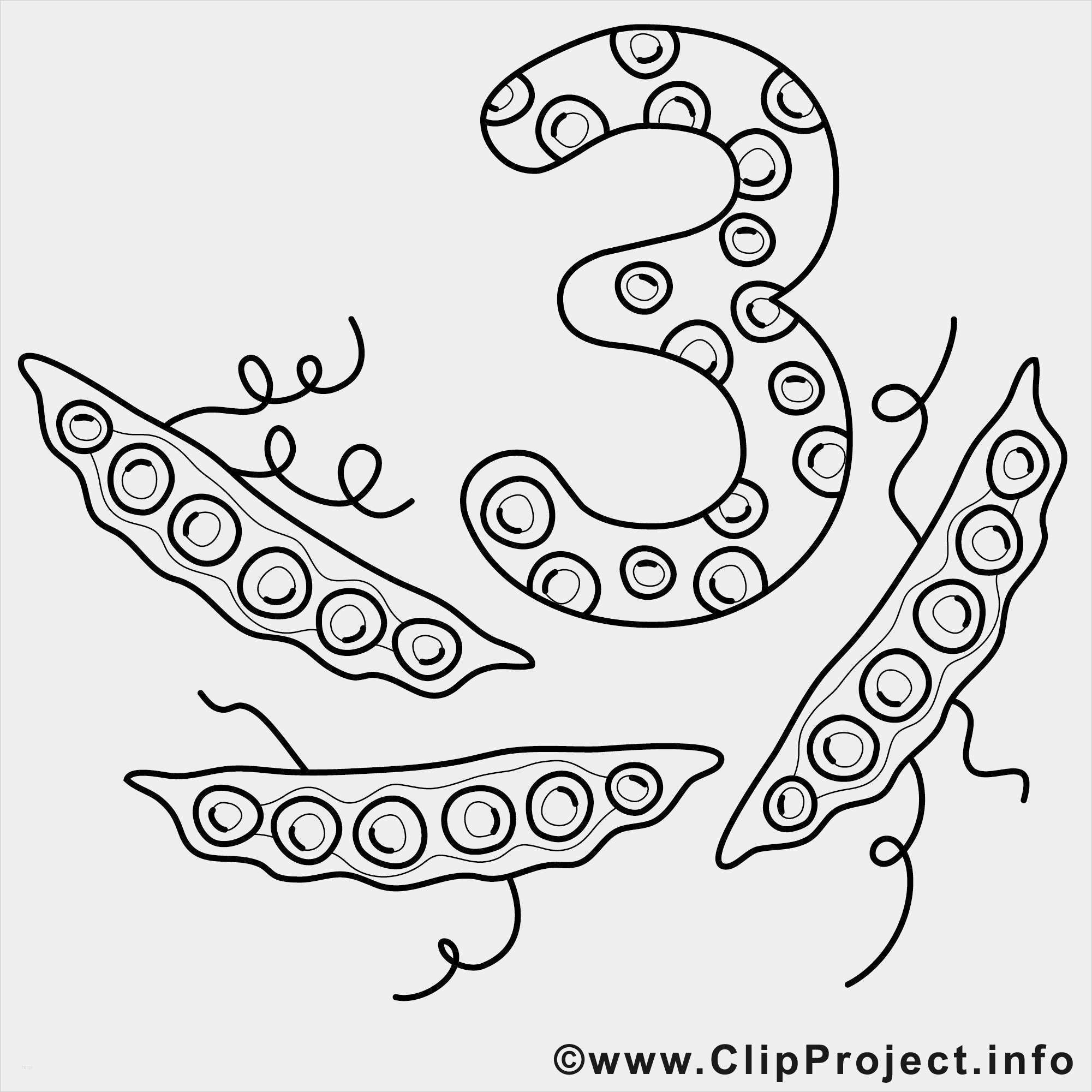 Window Color Vorlagen Erwachsene Beste Zahlen Window Color Vorlage Drei Erbsen