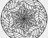 Window Color Vorlagen Erwachsene Einzigartig Mandala Zum Ausmalen Zeichnen Pinterest