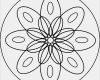 Window Color Vorlagen Erwachsene Erstaunlich Mandala Zum Ausdrucken Blumen Ausmalbilder
