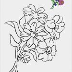 Window Color Vorlagen Herbst Beste Blumen Vorlagen 3