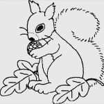 Window Color Vorlagen Herbst Fabelhaft Window Color Vorlagen Herbst Wunderbar Eichhörnchen